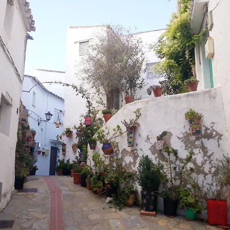 Beautiful Apartment In Duquesa Suites And Gardens Castillo de Sabinillas Kültér fotó